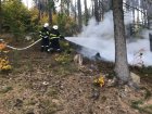 Waldbrand-Gross-Gerungs_kl.jpg Waldbrand-Gross-Gerungs_kl.jpg